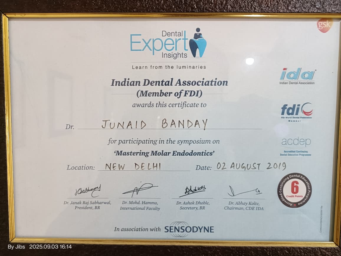 Molar Endodontics Certificate